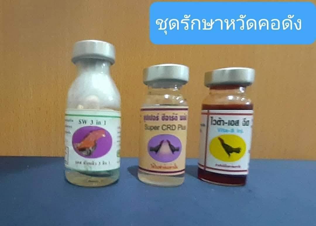 ชุดรักษาหวัดคอดัง
